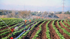 57 ilde 192 ovaya özel koruma