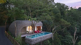 Dünyanın en güzel ağaç otelleri