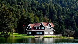 İşte Türkiye'nin en çok göç alan illeri