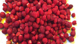 Fiyatı cep yakıyor!