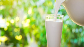 Rusya'dan şok Türk sütü açıklaması!