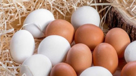 Yumurta fiyatları en dibi gördü!