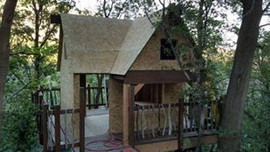 Çocukları için ormana ağaç ev inşa etti!