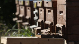 Hibe desteği için başvurular başladı!