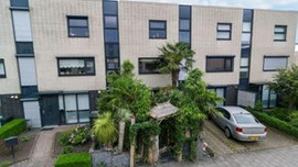 Apartman dairesini botaniğe çevirdi!