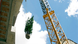 'Dikey Orman'ın ilk ağacı dikildi!