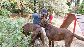 Şarkıcı Yalın yeni evine taşındı!