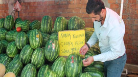 Kelek karpuzu bulana çeyrek altın!