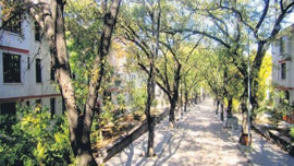 İlk toplu konut mahallesi 'Emlak Konut'un'