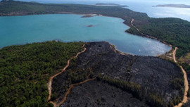 Alevler 3 hektar alanı yuttu!