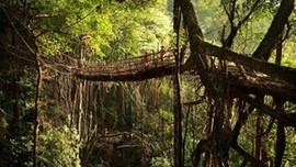 Dünyanın en çok yağmur yağan şehri