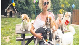 Geceliği 150 liraya 'köpek oteli'