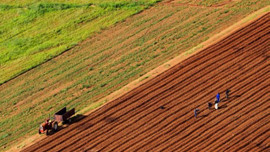4,5 milyon hektar tarım arazisi terk edildi!