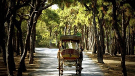 Adalar'da imar krizi!