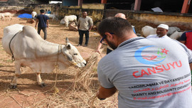 Cansuyu, Hindistan'da Kurban Bayramı'na hazır 