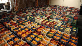 Gıda fiyatlarına ambalaj ve hal önlemi