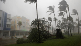 Irma Kasırgası Türk ünlüleri de vurdu!