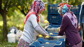 Rusya'ya ihracatta büyük artış