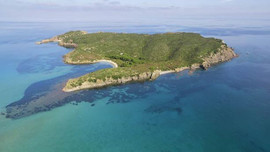 Talip çıkan olmadı fiyatı düştü!