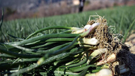 İşte ayın zam şampiyonu!