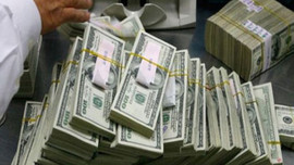 Bunu yapana devletten karşılıksız 2 milyon dolar!