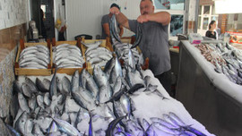 Tanesi 20 liraya yükseldi!