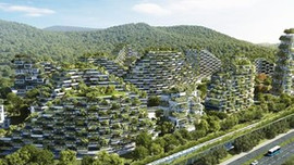 Orman şehirler geliyor!