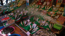 Av yasağı kalktı! İşte ilk balık fiyatları