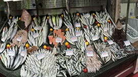 Balık sezonu açıldı