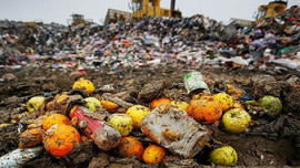 Her yıl 214 milyar lira çöpe gidiyor!