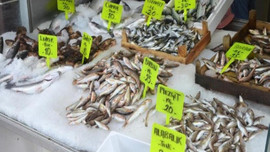 Balık fiyatları yarı yarıya düştü