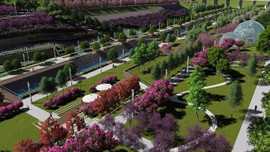 Kayapark'a 6 firma teklif verdi!