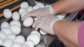 Türkiye'den rekor ihracat