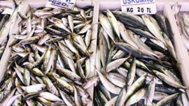 30 yıllık küskünlük sona erdi