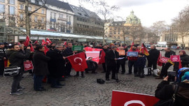 Almanya'daki Türklerden Zeytin Dalı Harekatı'na...