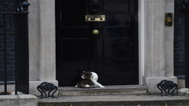 İngiltere Eğitim Bakanı istifa etti