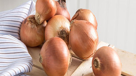 "Soğanın yüzde 80'i depolarda çürüdü, fiyatı 10 kat artacak"