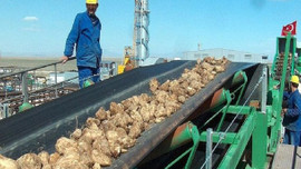 Şeker fabrikalarının arsaları da satılıyor