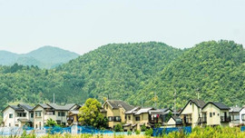 Bedava ev ilanlarının sayısı artıyor!