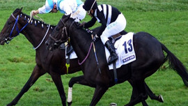 Jokeyler, 1 Ocak'tan itibaren ata binmeyecekler