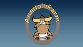 Çiftlik Bank'tan sonra ikinci vurgun: 200 milyon lira