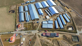 Çiftlik Bank'tan sonra Sütbank da battı