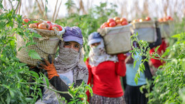 İşte bilimsel araştırmalara göre mutlu olmak için gereken maaş