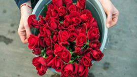 48 ülkenin kadınına 80 milyon dal Türk çiçeği