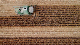 Çiftçiye 'erken destek' müjdesi