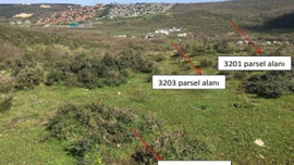 Riva projesinin çalışmaları hızlandı