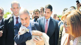 Bakan Fakıbaba sert çıktı: Daha ne yapalım!