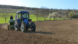 TMO, yurt dışından 140.000 ton mısır aldı