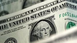 Dolar/TL, bugün de rekor kırdı