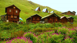 Yayla evleri de İmar Barışı kapsamında!